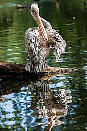 《真人快打1》压测6月23日开启 资格6月21日发放